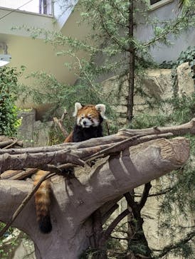 那須どうぶつ王国に投稿された画像（2024/9/8）