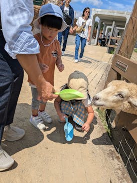 那須どうぶつ王国に投稿された画像（2024/9/8）
