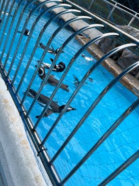 のとじま水族館に投稿された画像（2024/9/8）