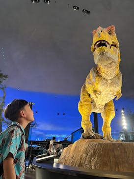 福井県立恐竜博物館に投稿された画像（2024/9/8）