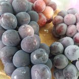 グレープガーデン　安全農園に投稿された画像（2024/9/8）