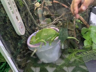 いきもの探検隊に投稿された画像（2024/9/8）