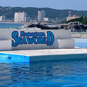 琉球村に投稿された画像（2024/9/8）