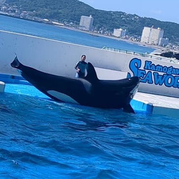 琉球村に投稿された画像（2024/9/8）