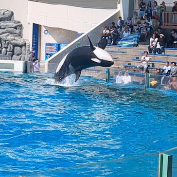 琉球村に投稿された画像（2024/9/8）