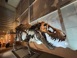 巨大恐竜展2024に投稿された画像（2024/9/8）