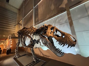 巨大恐竜展2024に投稿された画像（2024/9/8）