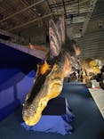 巨大恐竜展2024に投稿された画像（2024/9/8）
