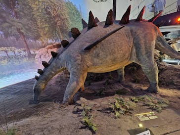 福井県立恐竜博物館に投稿された画像（2024/9/8）