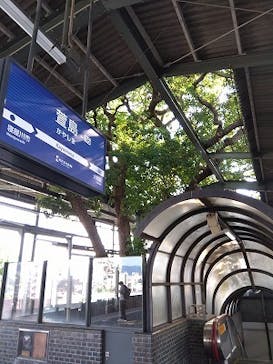 京阪電車に投稿された画像（2024/9/8）