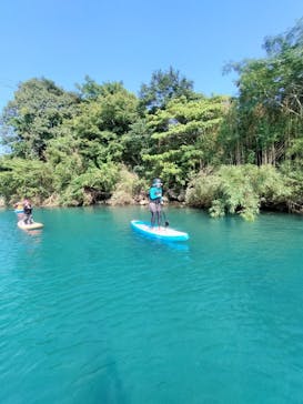 鼓動に投稿された画像（2024/9/8）