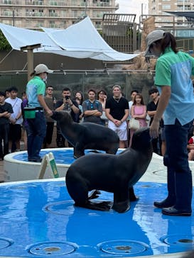 サンシャイン水族館に投稿された画像（2024/9/8）