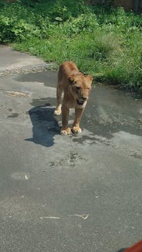 多摩動物公園に投稿された画像（2024/9/8）
