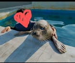 南知多ビーチランド＆南知多おもちゃ王国に投稿された画像（2024/9/8）