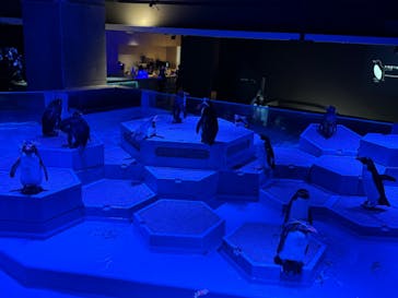 AOAO SAPPOROに投稿された画像（2024/9/8）