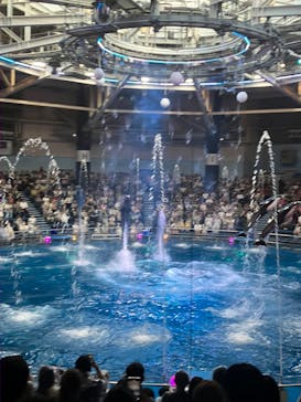 マクセル アクアパーク品川に投稿された画像（2024/9/8）