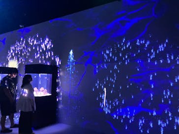 マクセル アクアパーク品川に投稿された画像（2024/9/8）