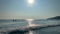 Beach Session（ビーチセッション）に投稿された画像（2024/9/8）