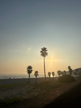 Beach Session（ビーチセッション）に投稿された画像（2024/9/8）