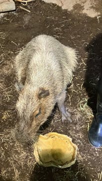 マクセル アクアパーク品川に投稿された画像（2024/9/8）