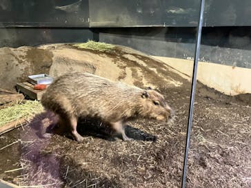 マクセル アクアパーク品川に投稿された画像（2024/9/8）