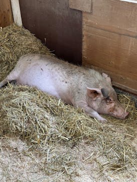 滋賀農業公園ブルーメの丘に投稿された画像（2024/9/8）