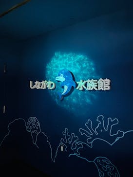 しながわ水族館に投稿された画像（2024/9/8）