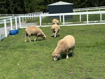 滋賀農業公園ブルーメの丘に投稿された画像（2024/9/8）