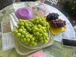 グレープガーデン　安全農園に投稿された画像（2024/9/8）