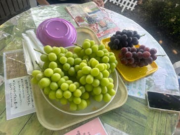 グレープガーデン　安全農園に投稿された画像（2024/9/8）