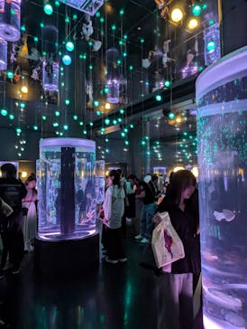 マクセル アクアパーク品川に投稿された画像（2024/9/8）