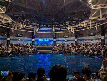 マクセル アクアパーク品川に投稿された画像（2024/9/8）