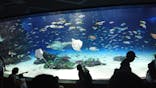 サンシャイン水族館に投稿された画像（2024/9/8）