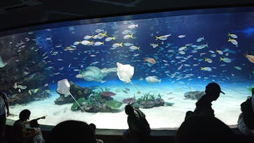 サンシャイン水族館に投稿された画像（2024/9/8）
