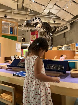 国立科学博物館に投稿された画像（2024/9/8）