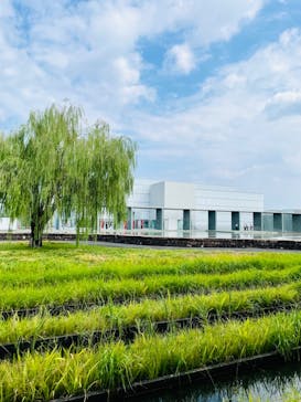 豊田市美術館に投稿された画像（2024/9/8）