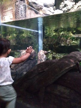 京都水族館に投稿された画像（2024/9/8）