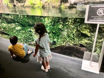京都水族館に投稿された画像（2024/9/8）