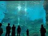 仙台うみの杜水族館に投稿された画像（2024/9/9）