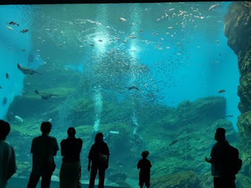 仙台うみの杜水族館に投稿された画像（2024/9/8）