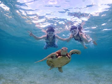 ちゃこたびに投稿された画像（2024/9/8）