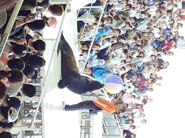 アクアワールド茨城県大洗水族館に投稿された画像（2024/9/8）