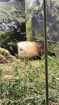 恩賜上野動物園に投稿された画像（2024/9/8）