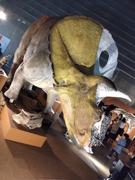 巨大恐竜展2024に投稿された画像（2024/9/8）