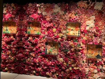 NARA KINGYO MUSEUMに投稿された画像（2024/9/8）