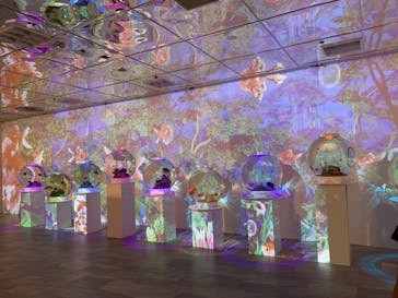 NARA KINGYO MUSEUMに投稿された画像（2024/9/8）