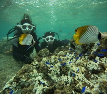 沖縄マリンサービス碧に投稿された画像（2024/9/8）