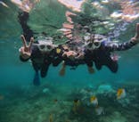 沖縄マリンサービス碧に投稿された画像（2024/9/9）