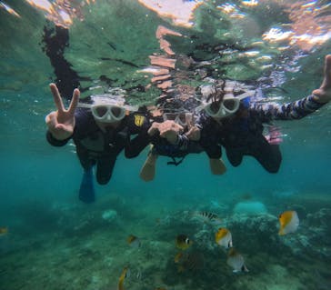 沖縄マリンサービス碧に投稿された画像（2024/9/8）