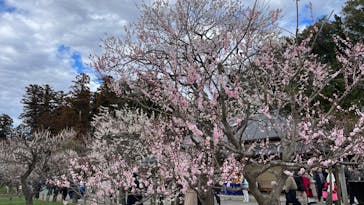 偕楽園本園に投稿された画像（2024/9/9）